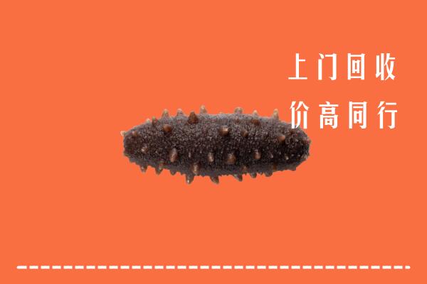 高价求购：攀枝花回收海参