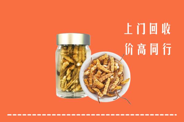 攀枝花回收冬虫夏草